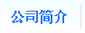 公司簡介